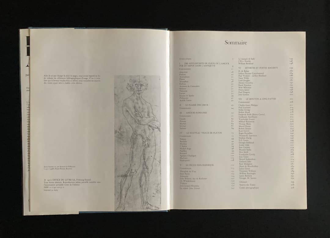 No.460『（仏文）美術に見る男性同性愛の文化史』