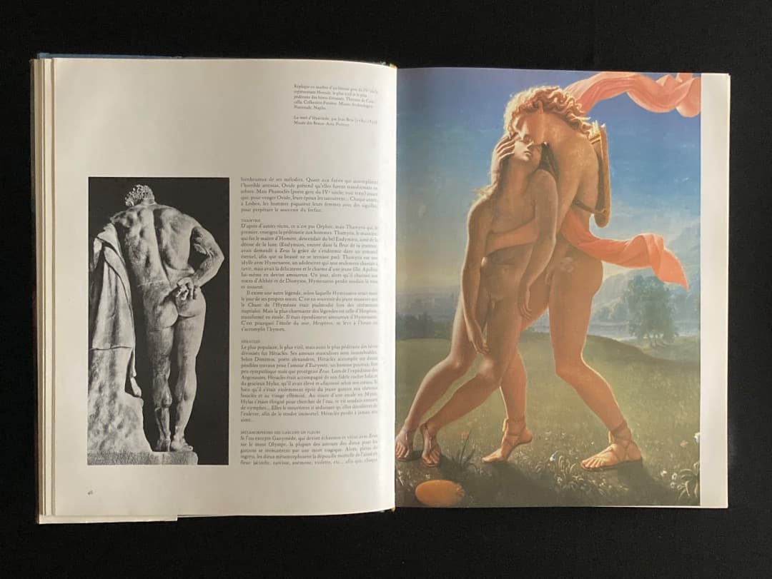 No.460『（仏文）美術に見る男性同性愛の文化史』