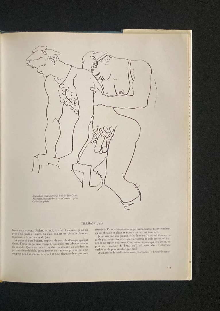 No.460『（仏文）美術に見る男性同性愛の文化史』