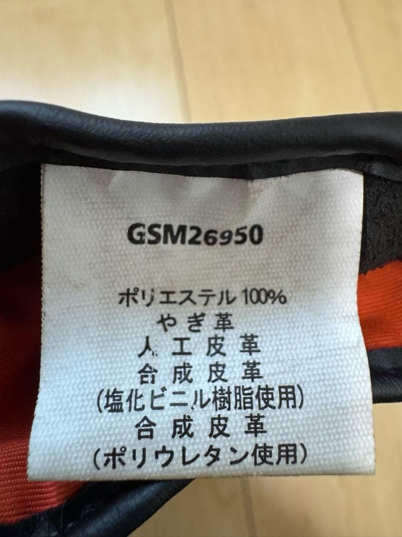 ゴールドウィン Euro ゴアテックスウィンターグローブ GSM26950 L