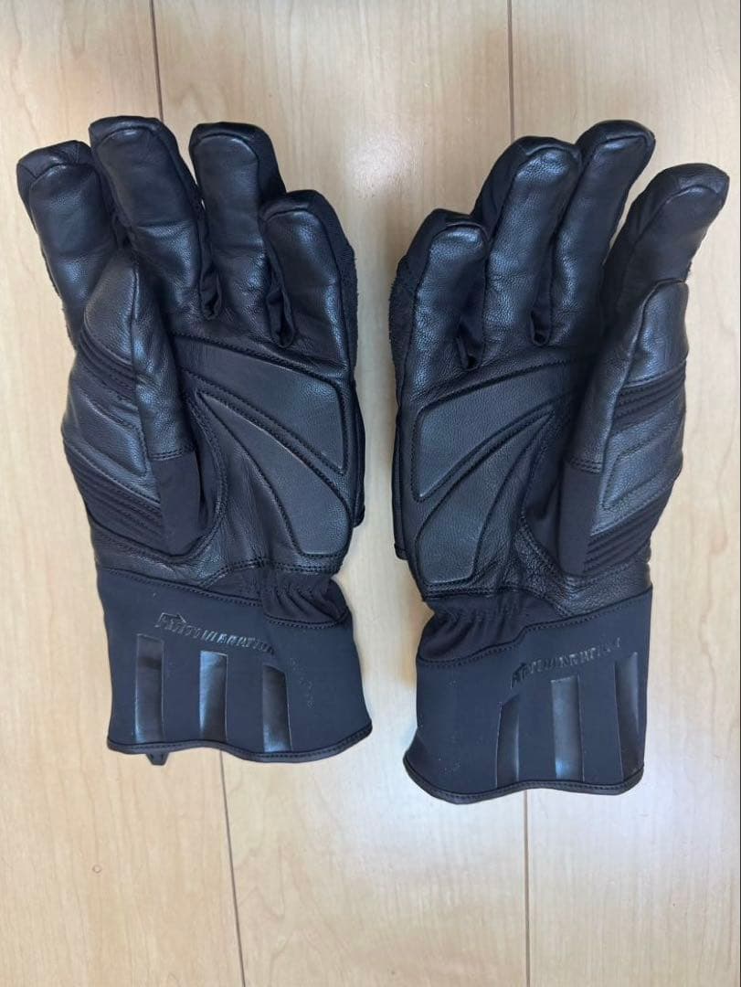 ゴールドウィン Euro ゴアテックスウィンターグローブ GSM26950 L