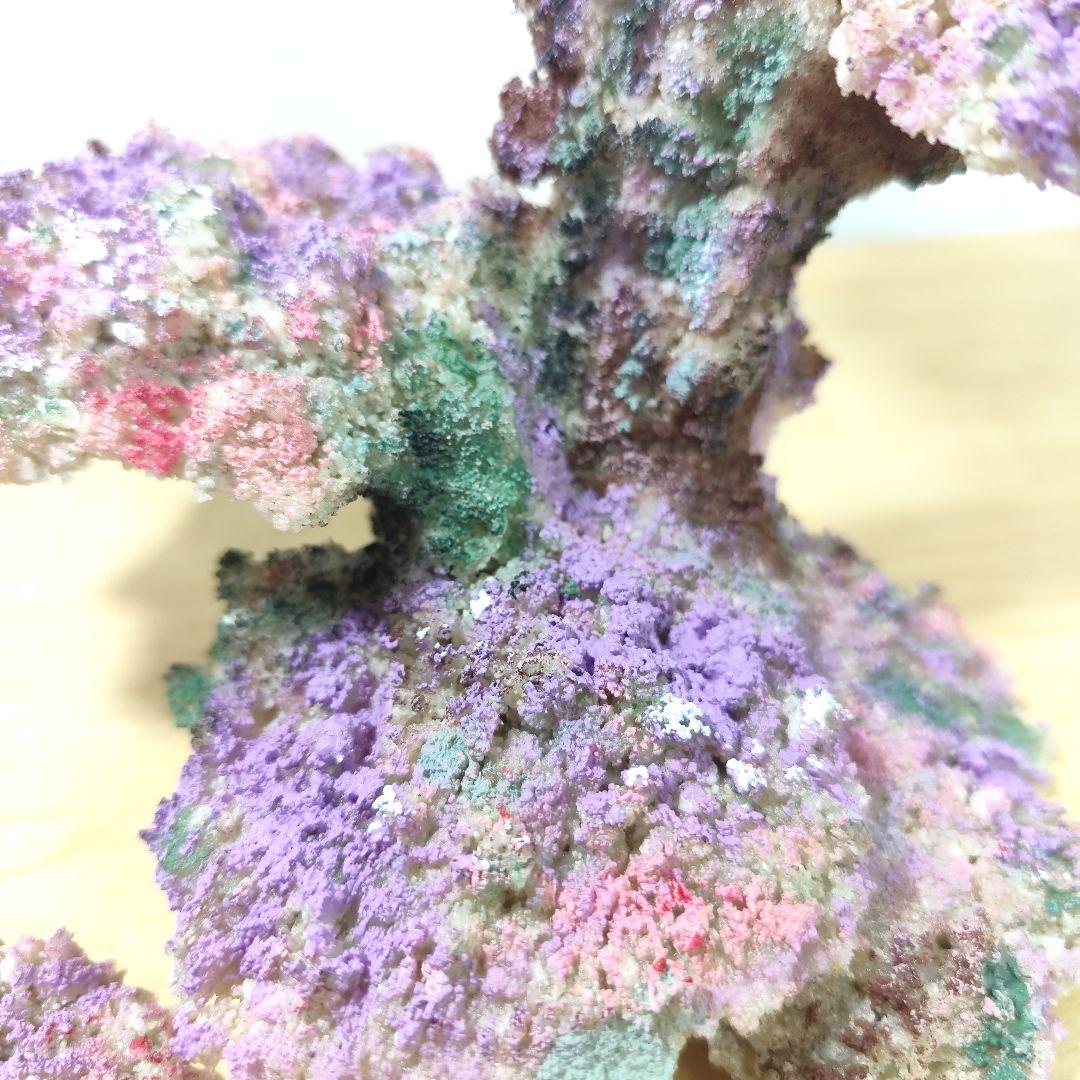 新品アク抜き不要 分離型人工ライブロック 60cm海水水槽用 レプリカ 多孔質3