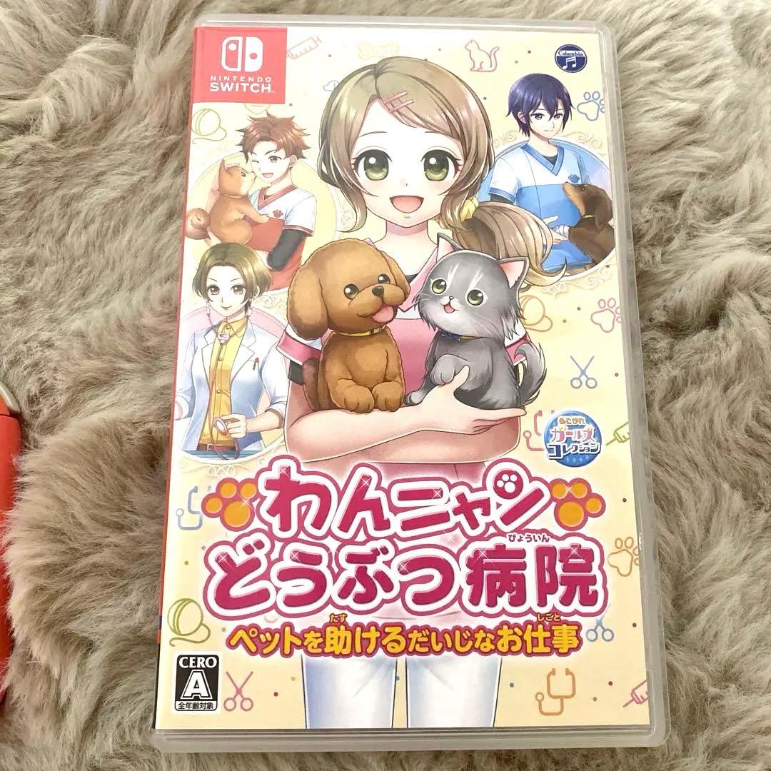 Switchライト⭐︎ソフト付き⭐︎バッテリー交換済み