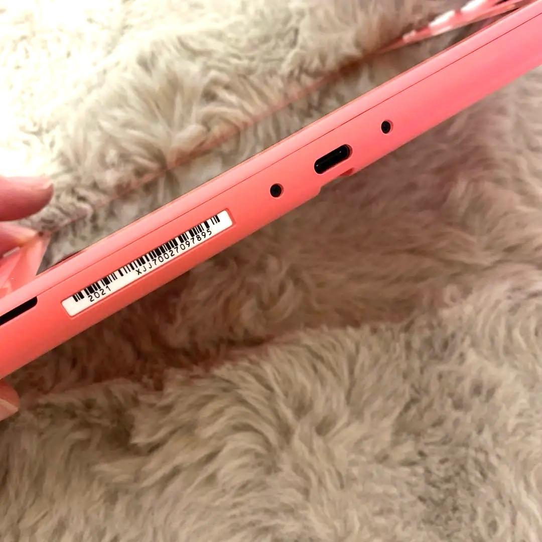 Switchライト⭐︎ソフト付き⭐︎バッテリー交換済み