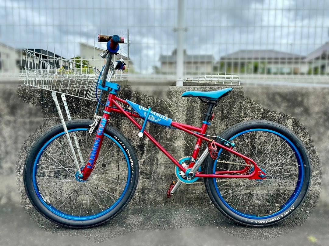 SE bikes Quadangle Looptail 24” 2010