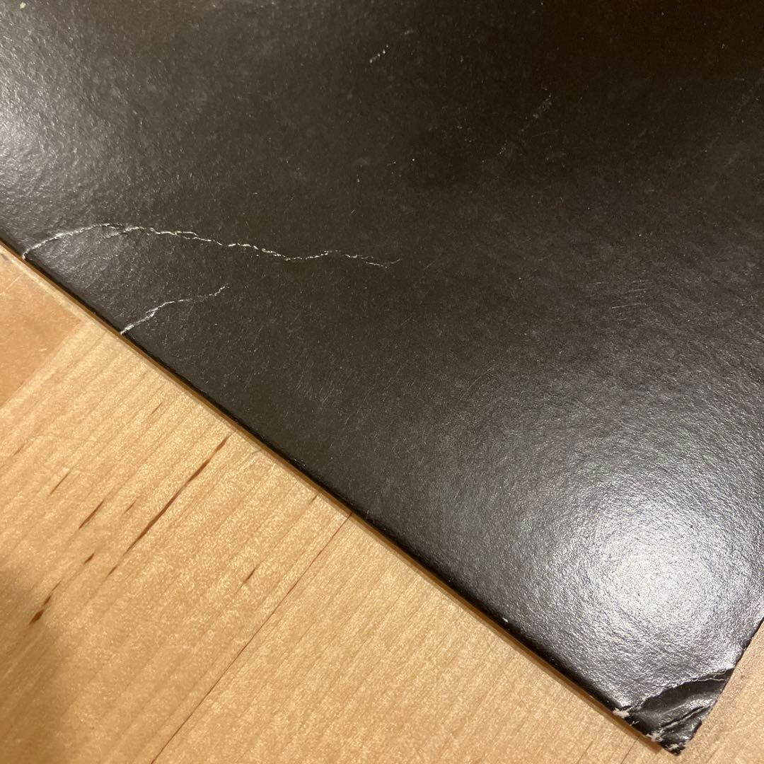 仙人掌 - MASTER PIECE 12inch レコード