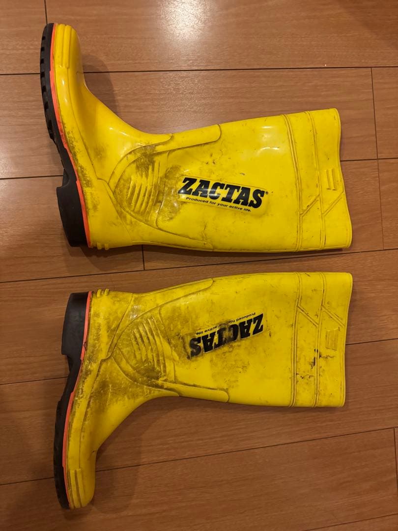 B*b様 ザクタス黄色29cm