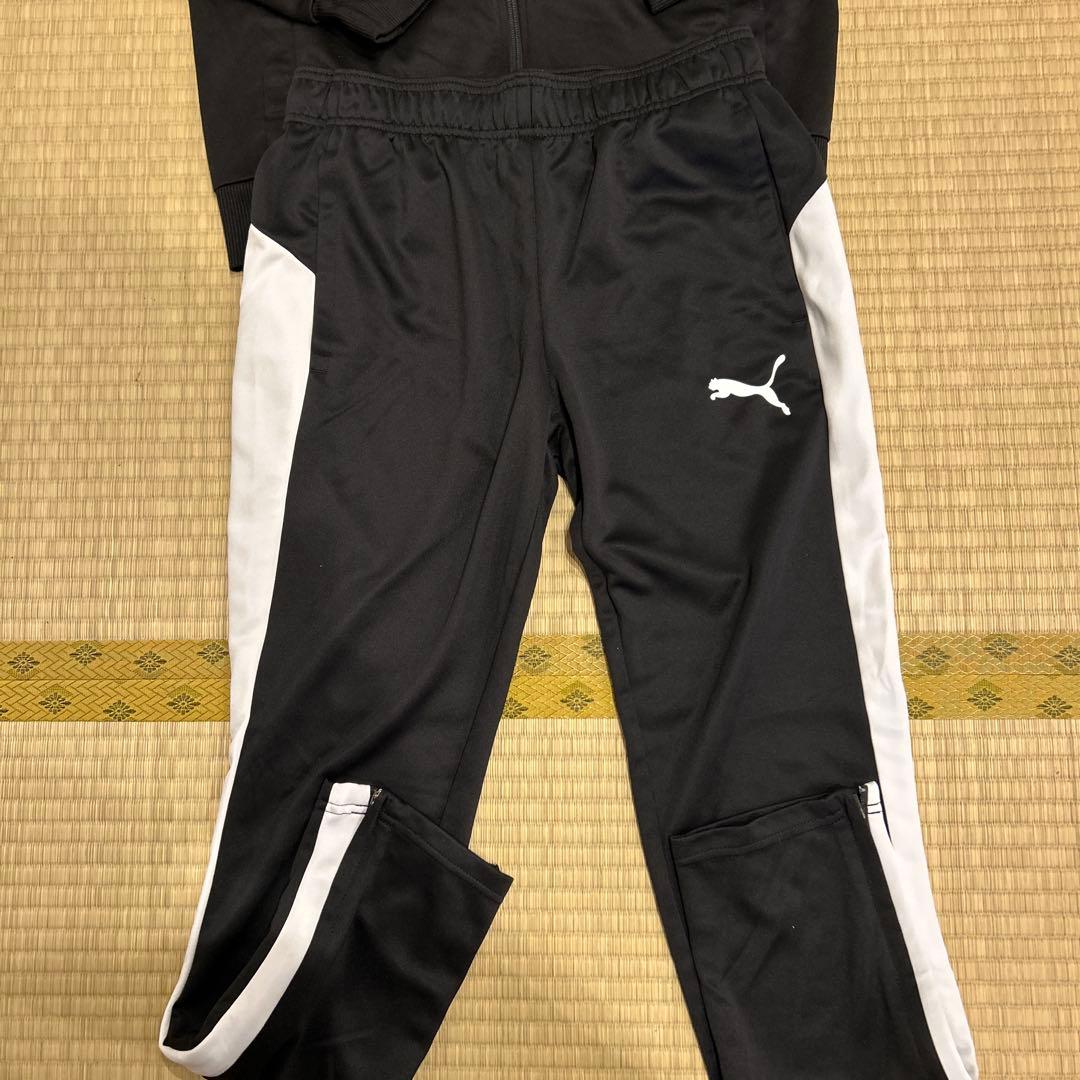 PUMA ブラック ジャージセット M