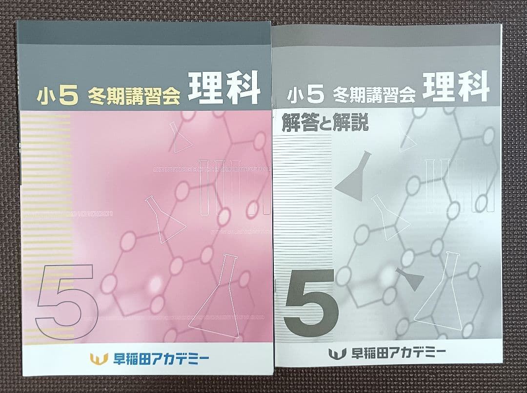 今だけオフ❗️ 小5 冬期講習 早稲田アカデミー 早稲アカ上位校5年生