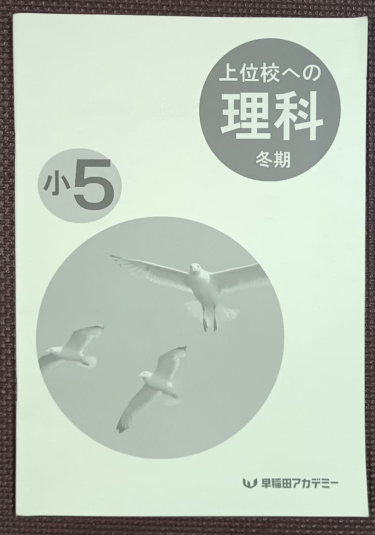 今だけオフ❗️ 小5 冬期講習 早稲田アカデミー 早稲アカ上位校5年生