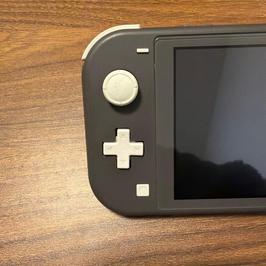 Nintendo Switch Lite グレー 本体 充電器　ケース付き