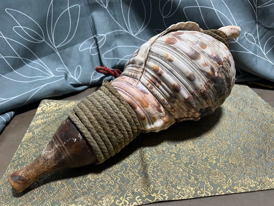 ほら貝 法螺貝 和楽器 貝殻製の楽器