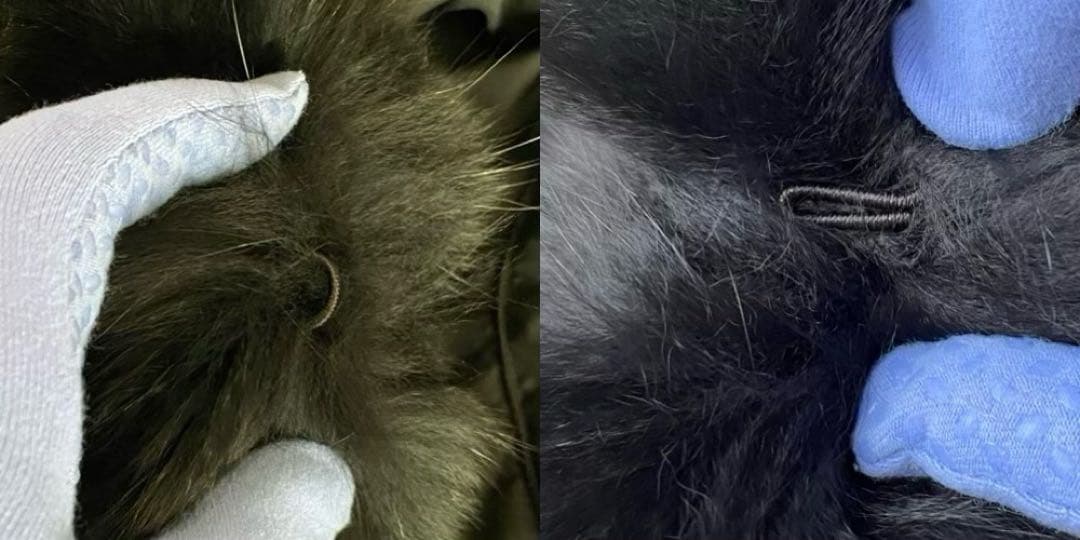 GRES BOUTIQUE グレファーシルク　リバーシブルコート XL