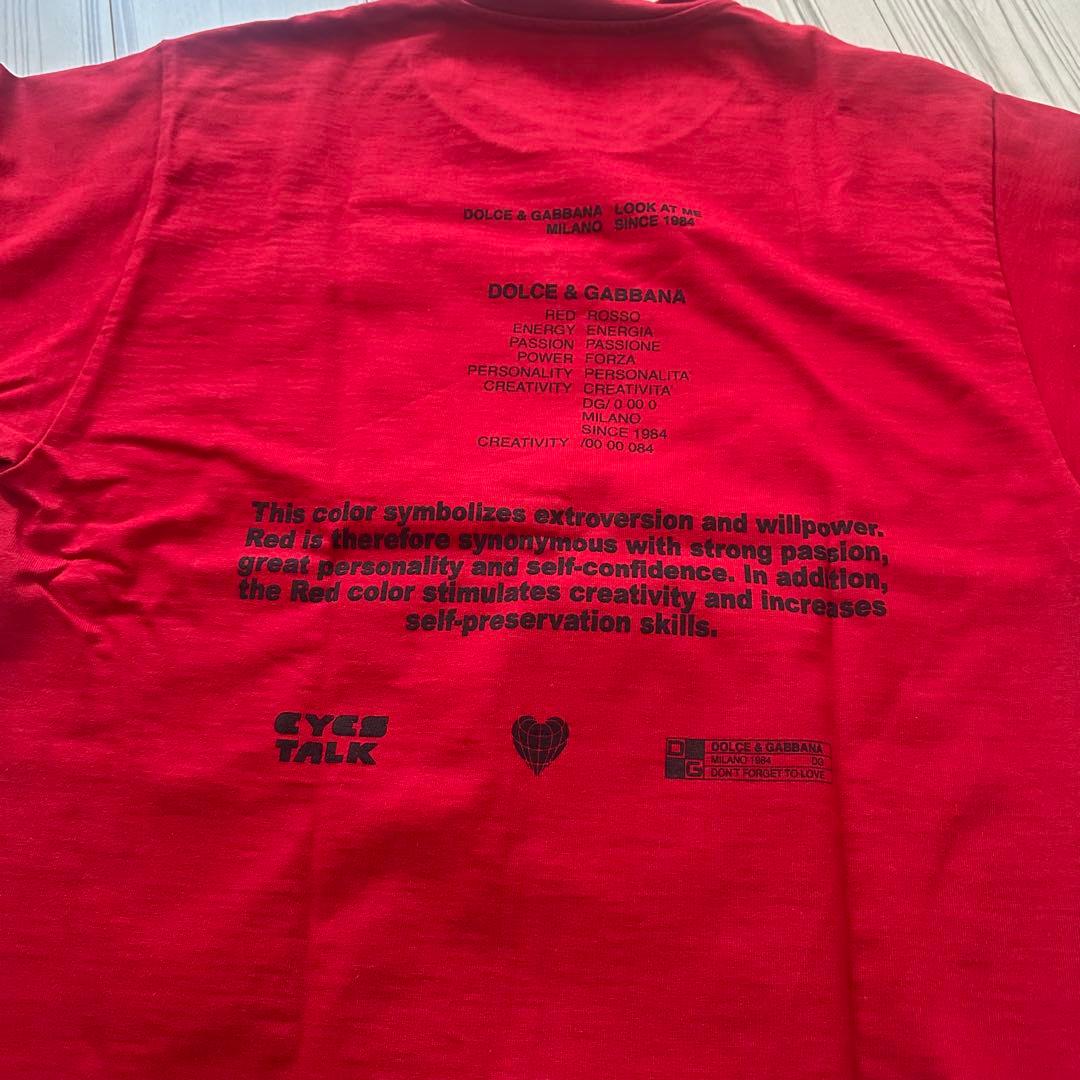 【クリーニング済み美品】DOLCE & GABBANA メンズTシャツ 赤 S