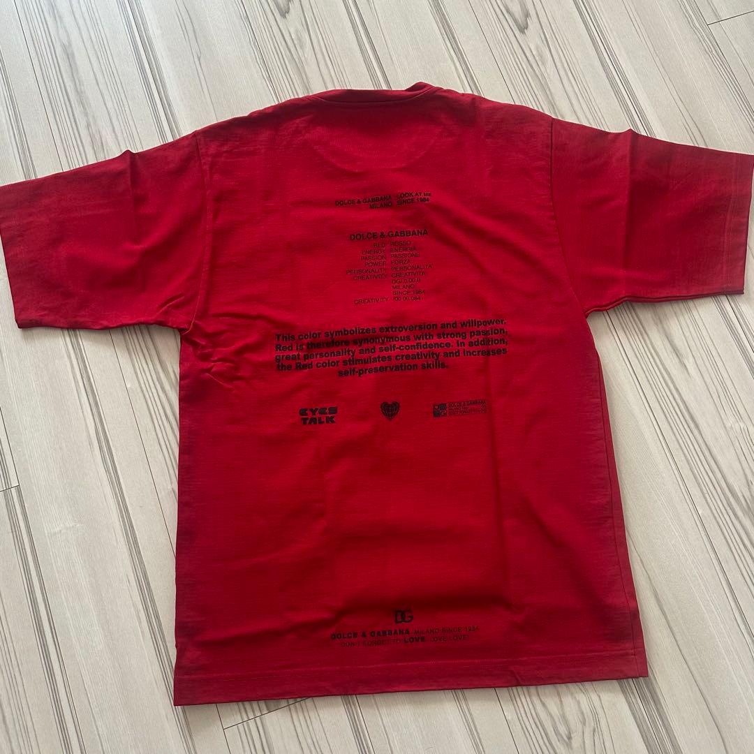 【クリーニング済み美品】DOLCE & GABBANA メンズTシャツ 赤 S