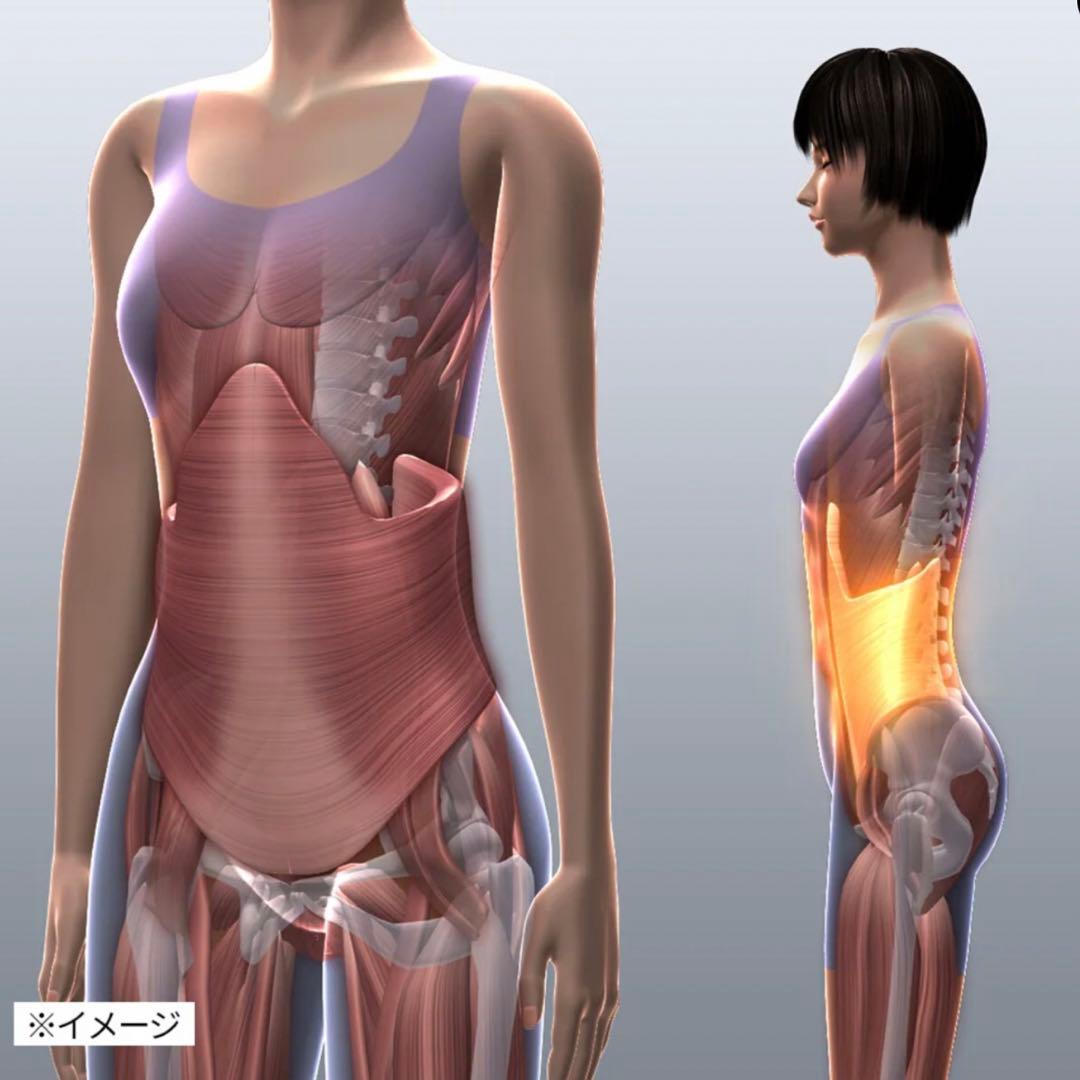 美品☆ポルト AirPlie DELUXE エアプリエ DELUX（デラックス）