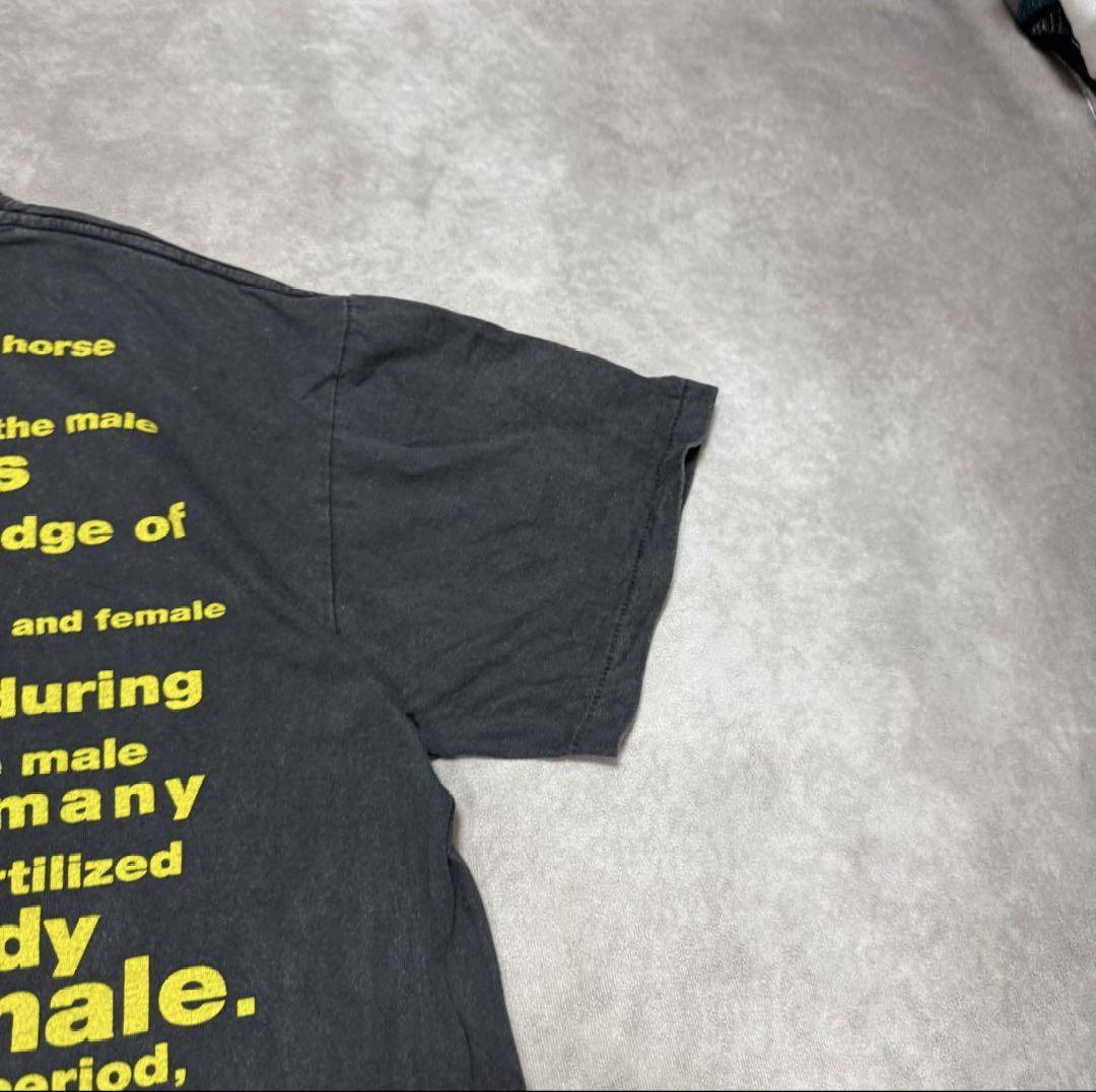 90s NIRVANA タツノオトシゴ Rape Me バンドTシャツ USA製