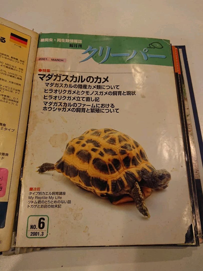 クリーパー 6冊 爬虫・両生類情報誌 創刊3号No.6・8・11・20・22