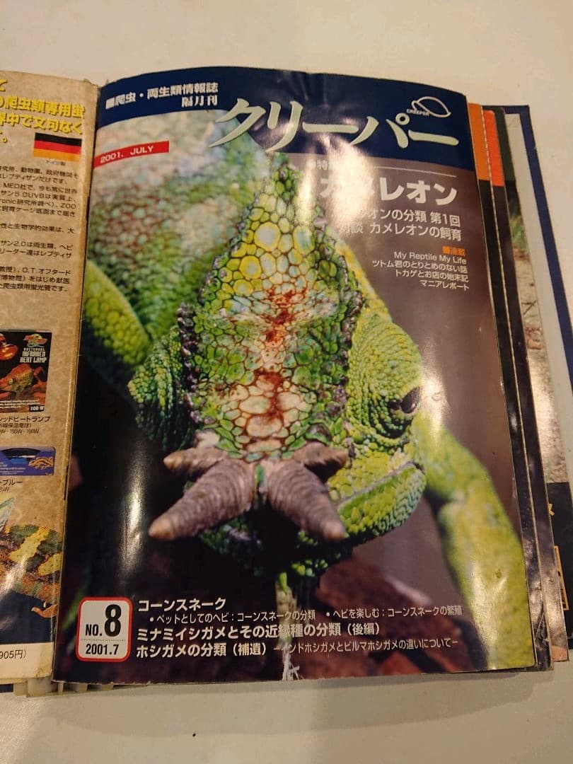 クリーパー 6冊 爬虫・両生類情報誌 創刊3号No.6・8・11・20・22