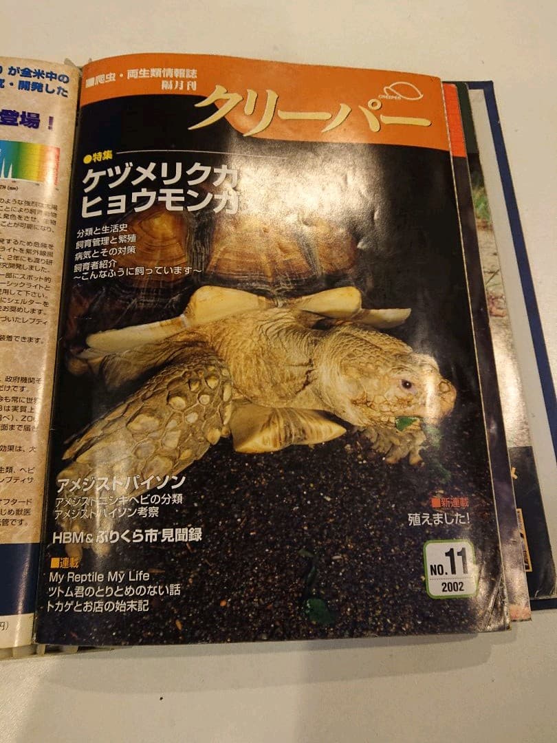 クリーパー 6冊 爬虫・両生類情報誌 創刊3号No.6・8・11・20・22