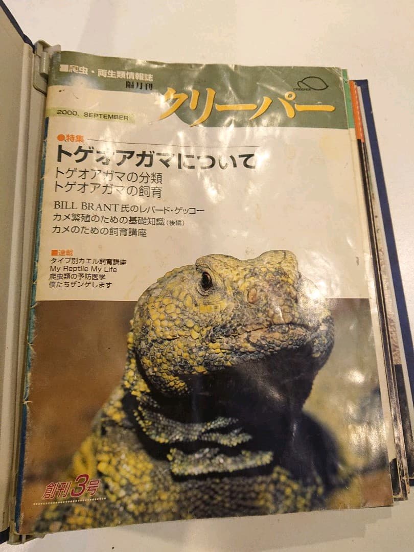 クリーパー 6冊 爬虫・両生類情報誌 創刊3号No.6・8・11・20・22
