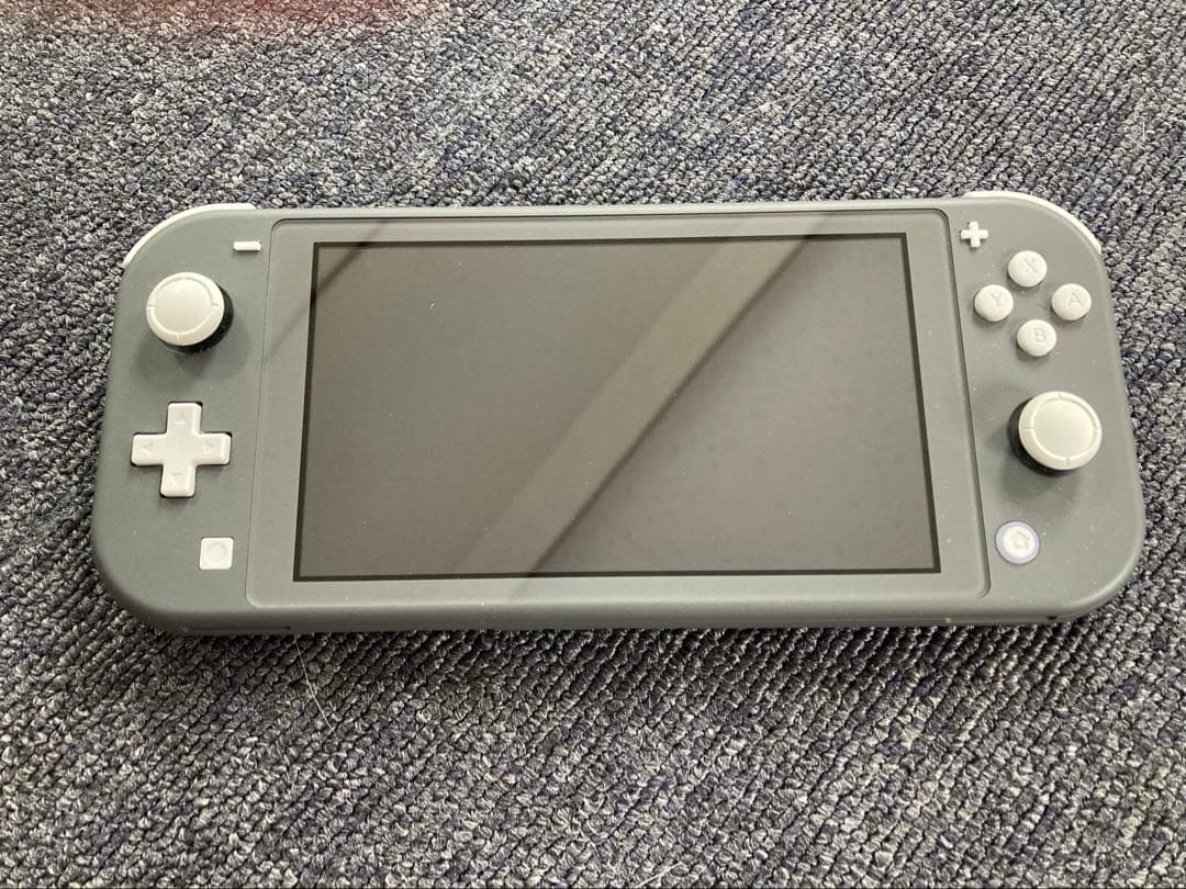 パ*ラ様 任天堂 Switchライト カバー ソフト付き