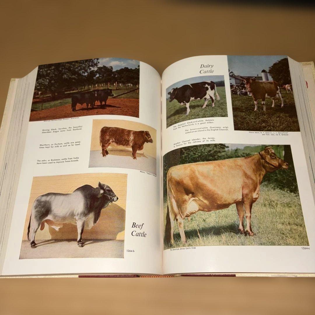 グロリエ『知識の書』1960年、第1巻から第20巻まで全10冊 - 50周年記念