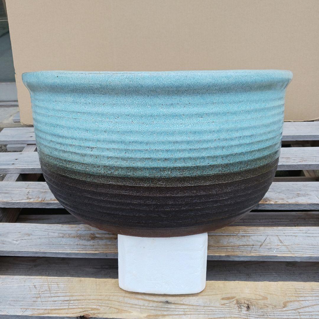 新品　特大52x48　陶器　睡蓮鉢　難有　メダカ鉢　水色　ブルー　ルーバーLWC