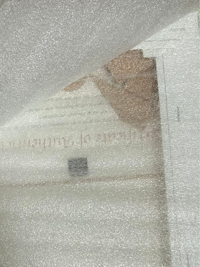 希少⭐️ドーブルゴッホポケモンキャンバスアート証明書付