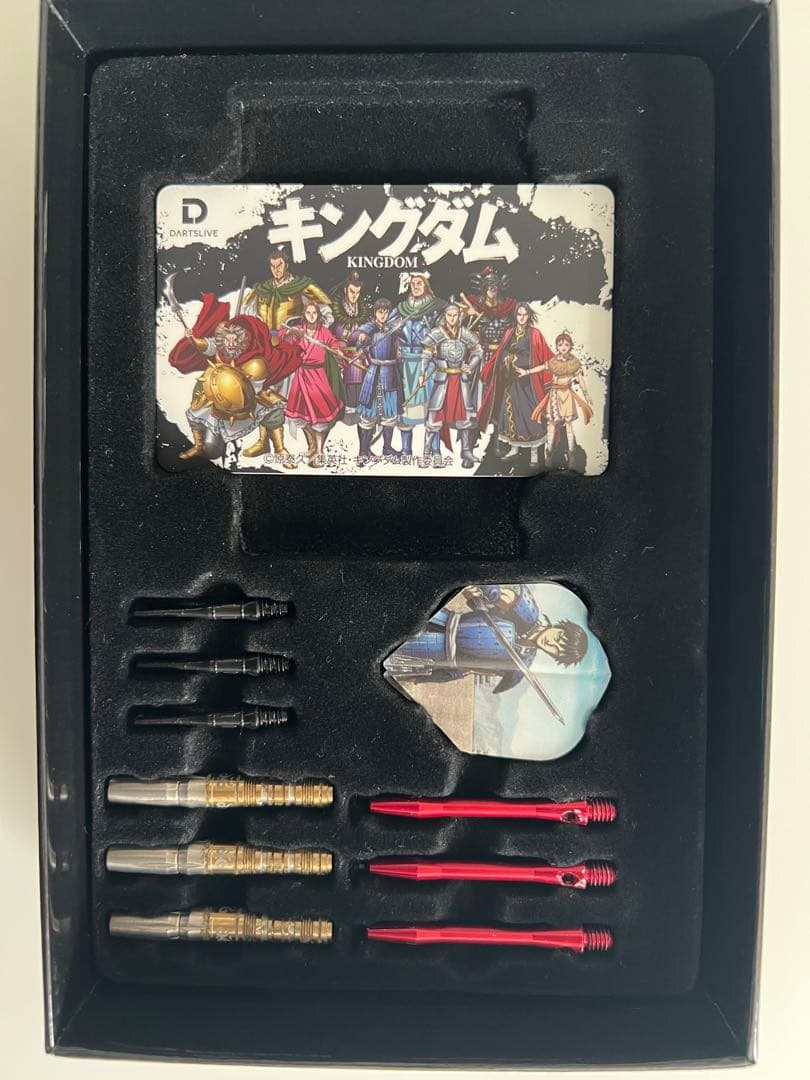 【エンム】キングダム ダーツセット　KINGDOM DARTS SET