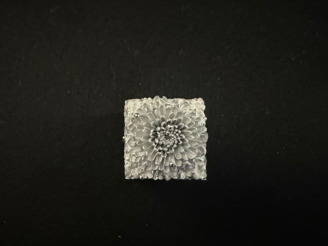 【未使用】髙橋賢悟 匣「空華