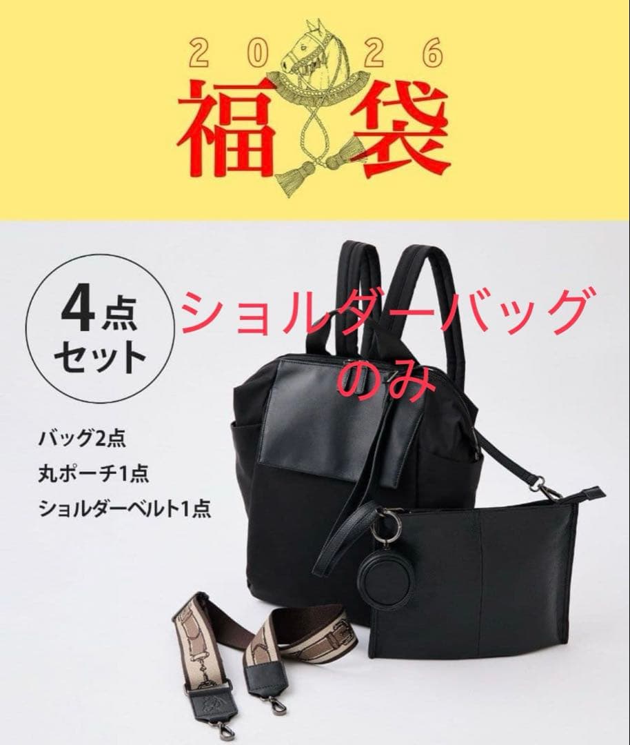 【新品未使用】ear PAPILLONNER 福袋 レザーショルダーバッグ