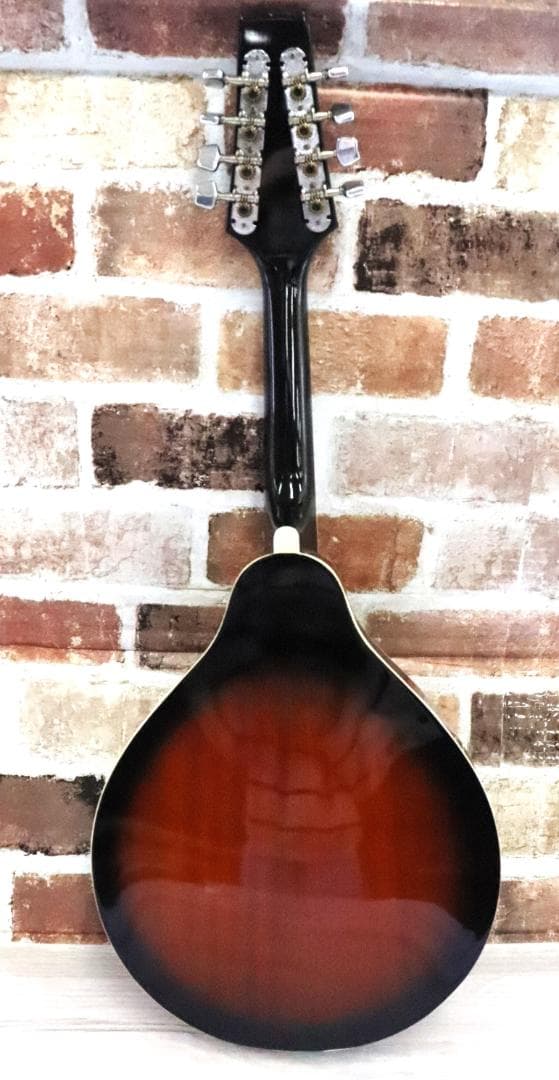 ■アリア マンドリン MANDOLIN ARIA AM-20 弦楽器