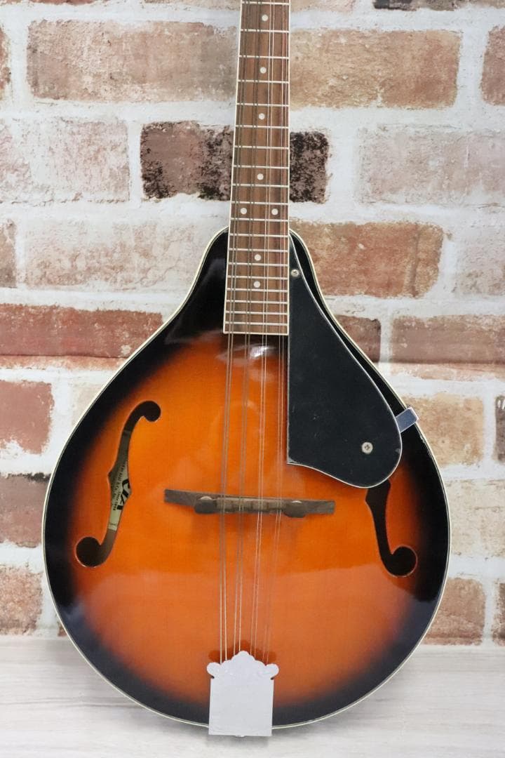 ■アリア マンドリン MANDOLIN ARIA AM-20 弦楽器