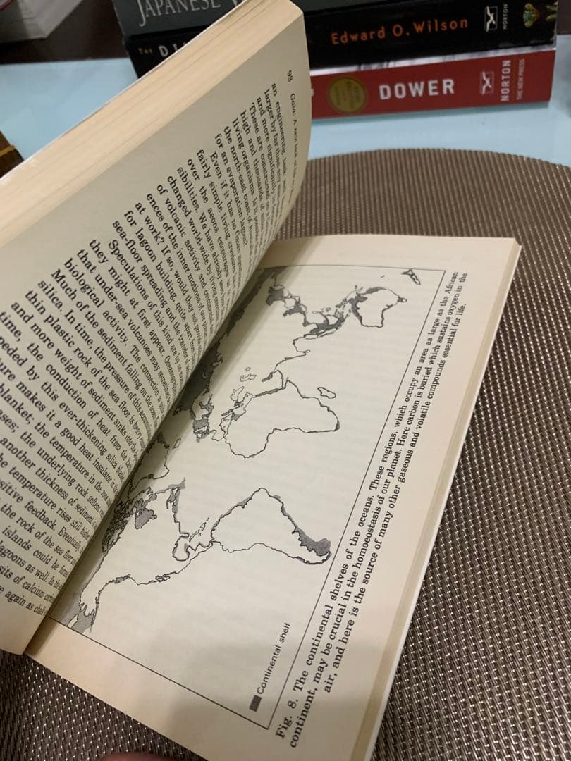 洋書 GAIA: A New Look at Life on Earth