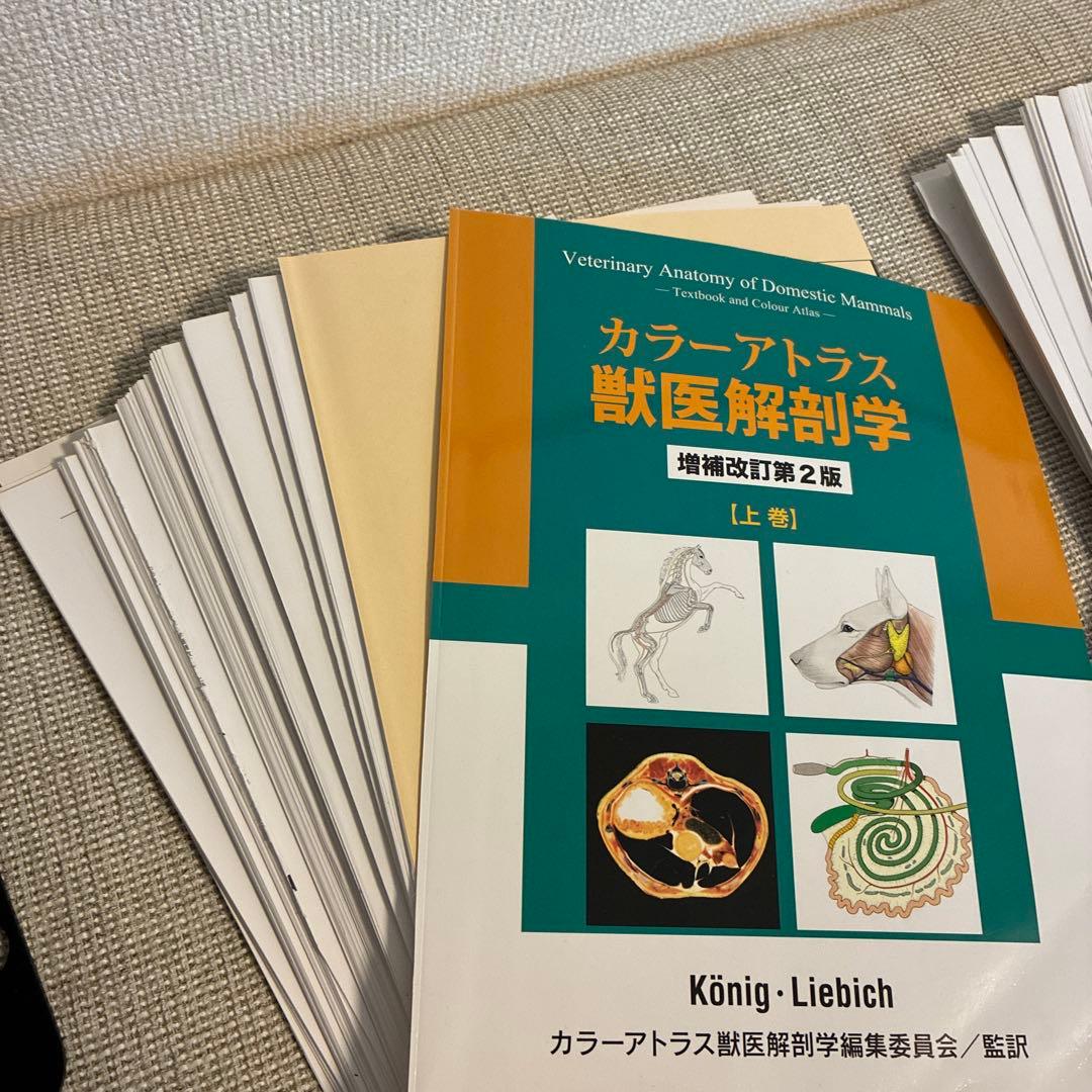 【裁断済】 カラーアトラス 獣医解剖学 第2版 上下巻セット