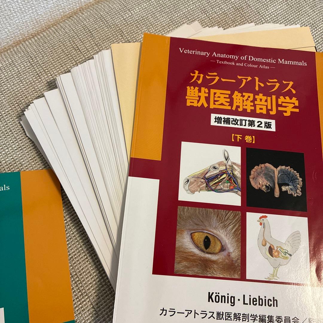 【裁断済】 カラーアトラス 獣医解剖学 第2版 上下巻セット
