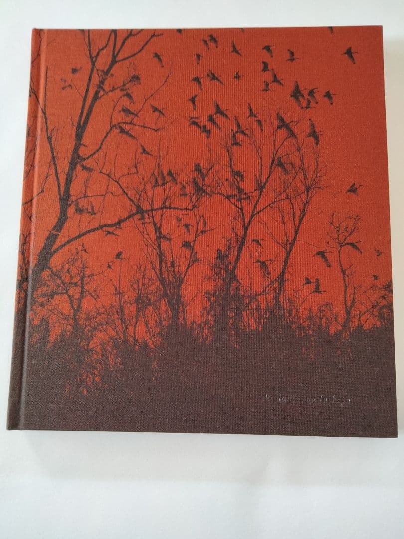 希少 ファーストエディション Vanessa winship 写真集