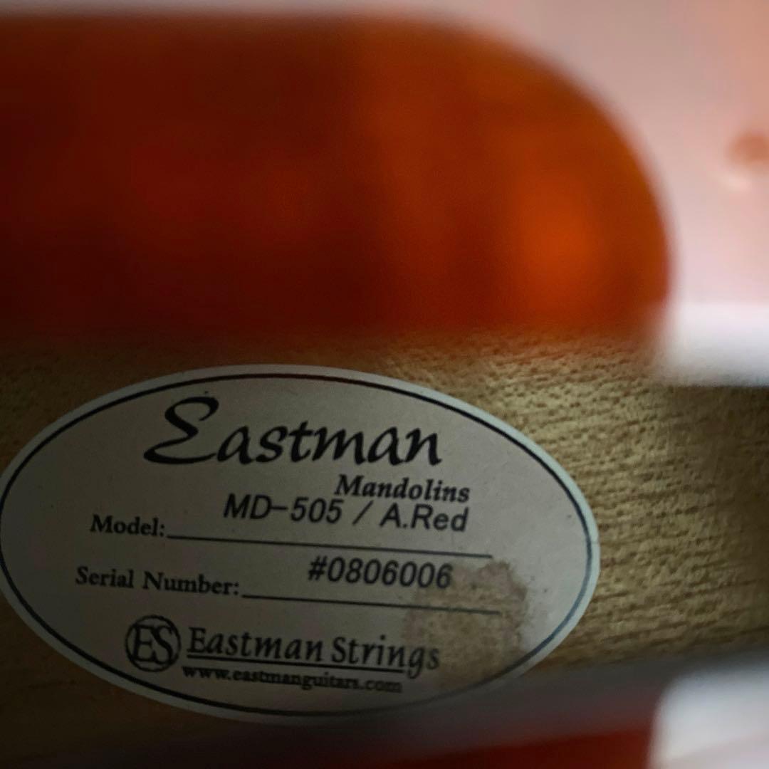Eastman MD-505/A.Red フラットマンドリン メンテナンス前提で