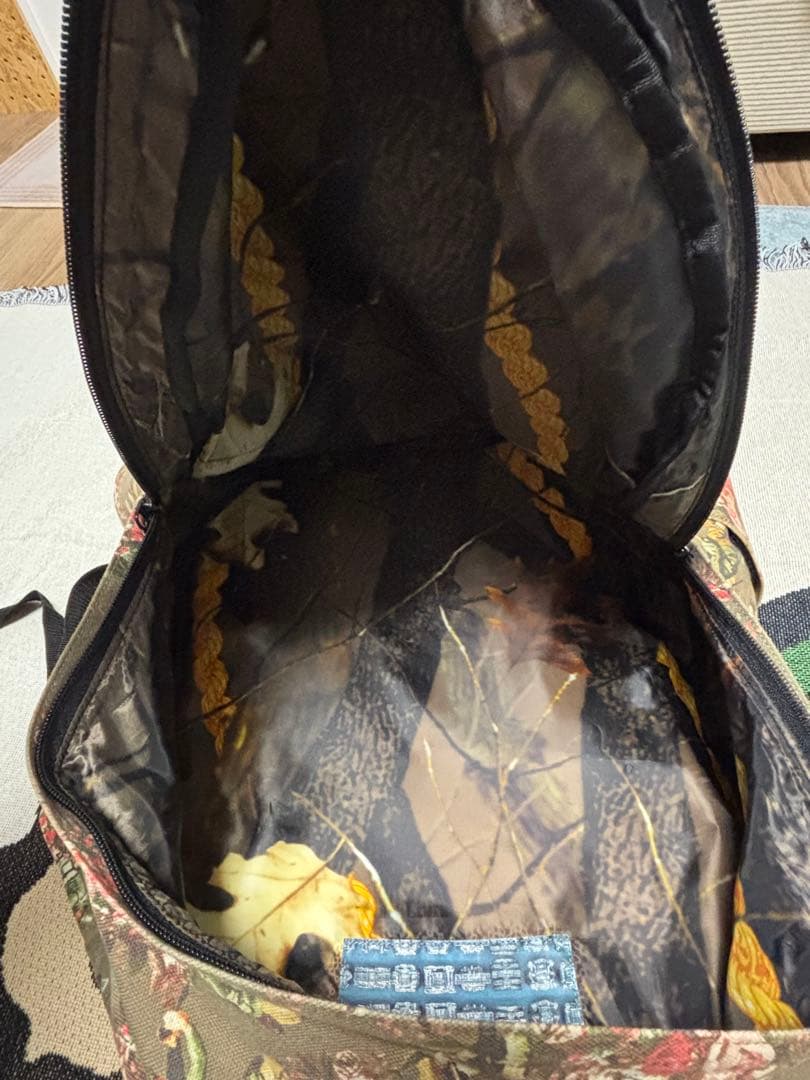 フェノメノン　phenomenon バックパック　薔薇兵士