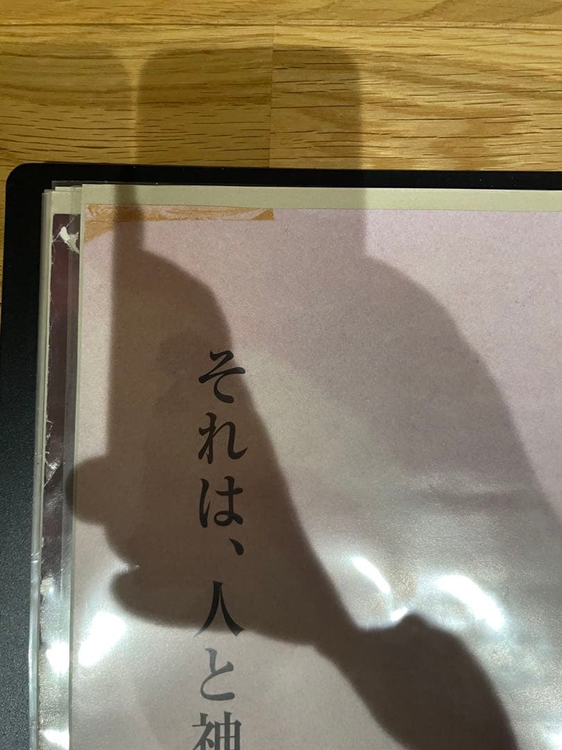 【B2ポスター】ヴァルキリープロファイル