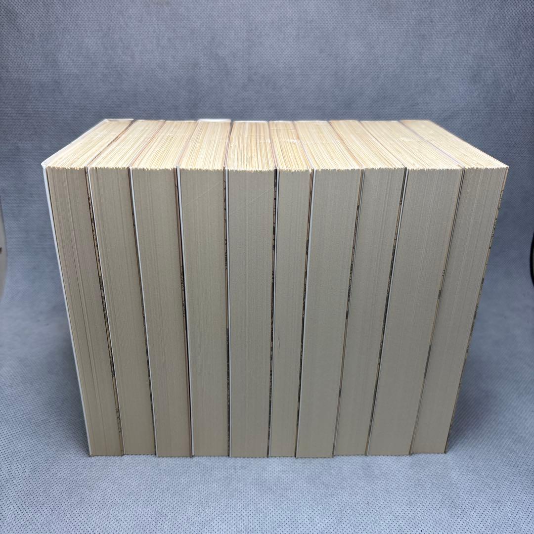 南総里見八犬伝　曲亭馬琴　作　岩波文庫