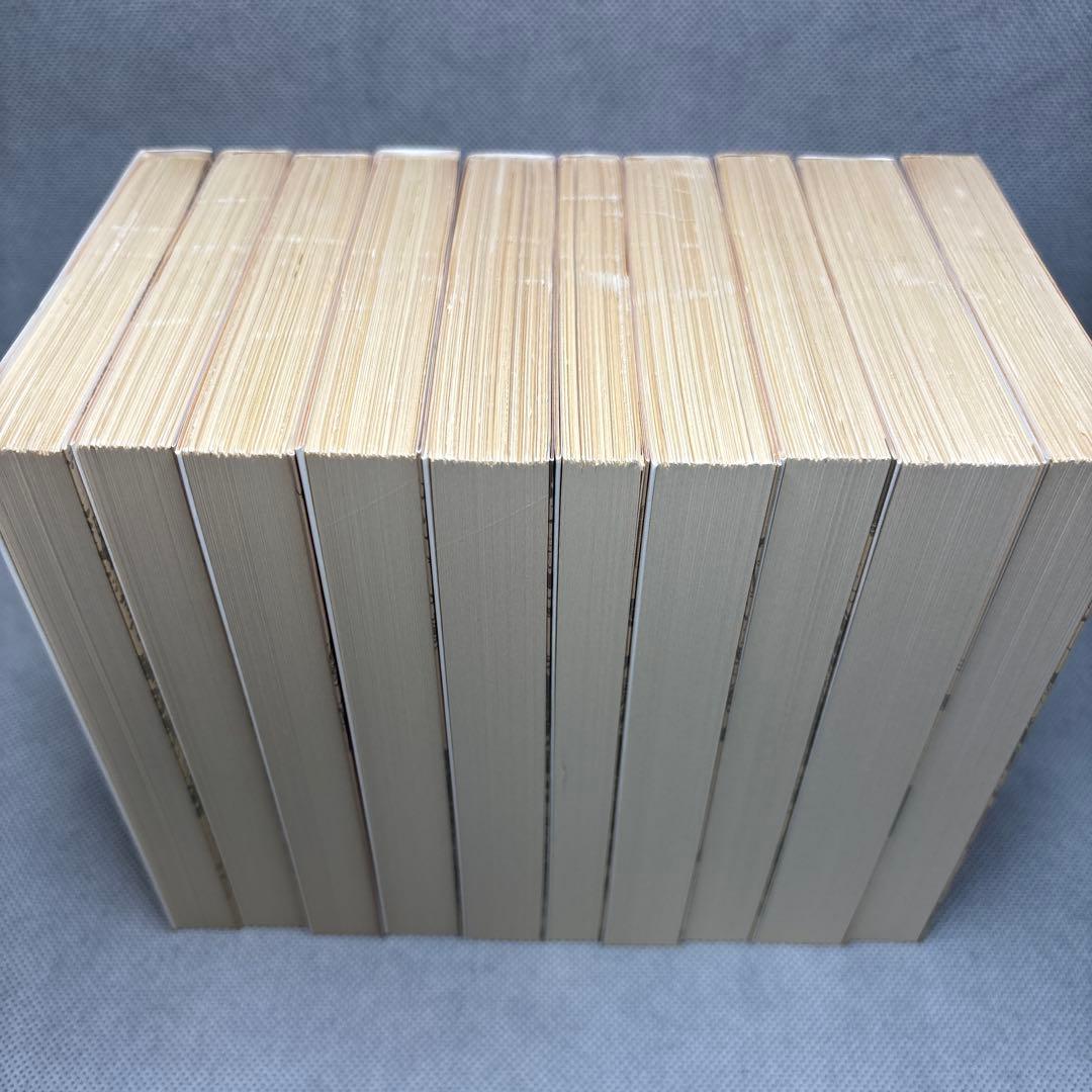 南総里見八犬伝　曲亭馬琴　作　岩波文庫