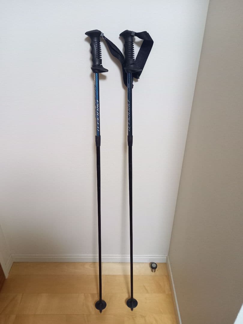 デモ トップモデル スキーフルセット