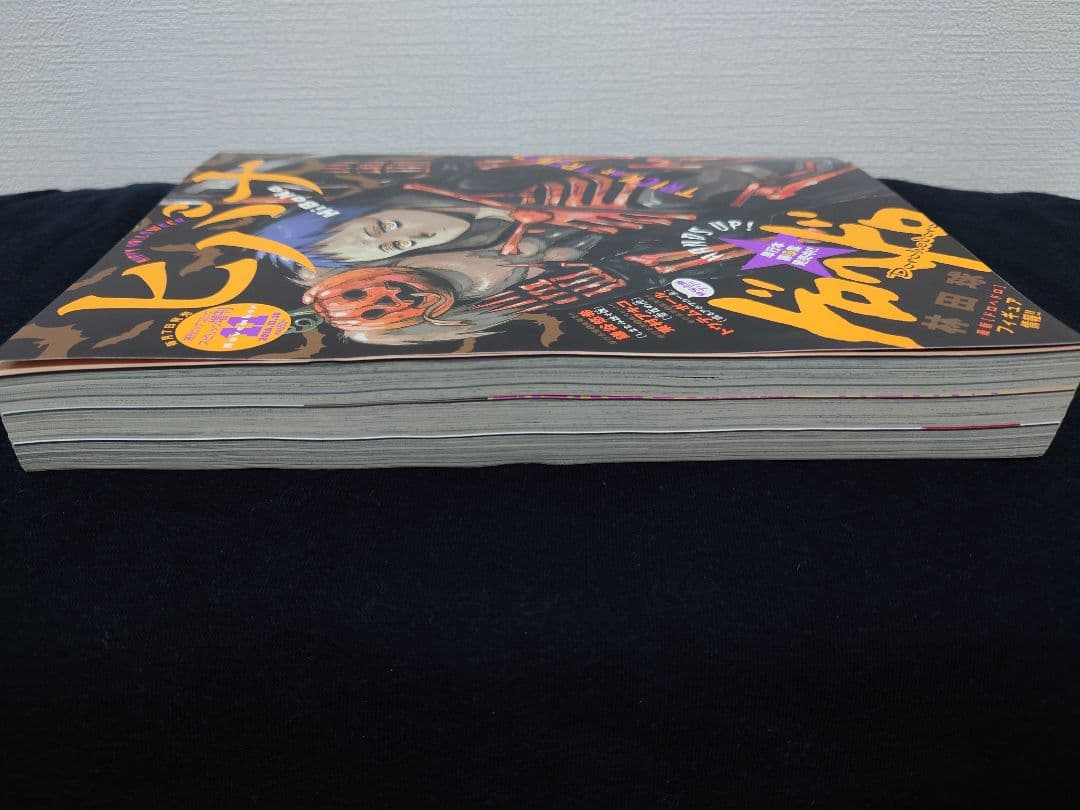 ヒバナ　2016年11月号　ドロヘドロ表紙