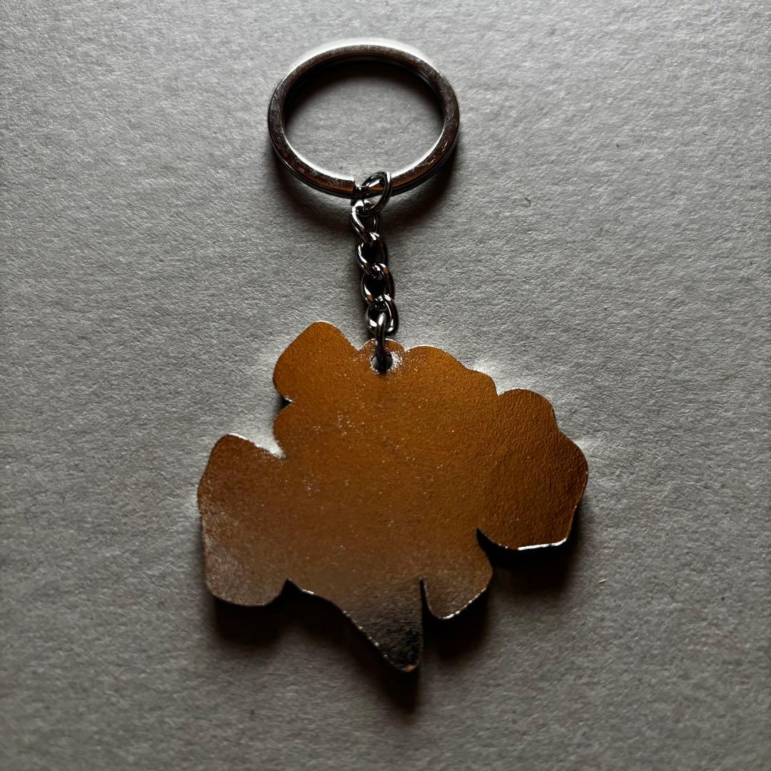 即購入⭕️ HANA ロゴキーホルダー