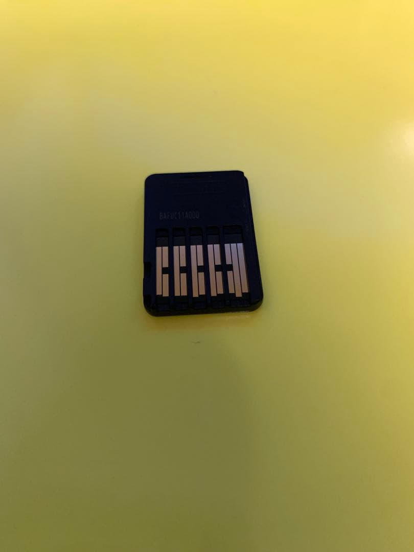 session セッション : スケートシム Switch版