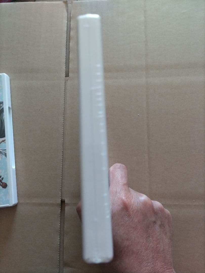 らいむいろ戦奇譚 ディレクターズカット 完全版 DVD 第7巻