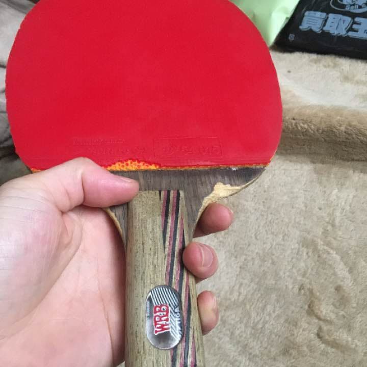 卓球ラケット両面ラバー付き