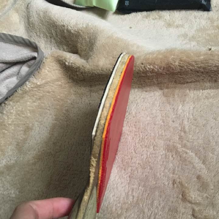 卓球ラケット両面ラバー付き